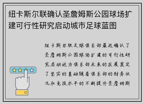 纽卡斯尔联确认圣詹姆斯公园球场扩建可行性研究启动城市足球蓝图 纽卡斯尔联确认圣詹姆斯公园球场扩建可行性研究启动城市足球蓝图